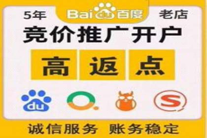 深度解析：竞价推广公司经典案例